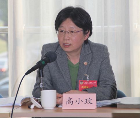 高小玫委员发言