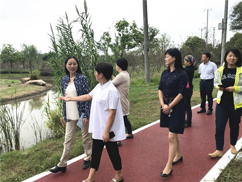 看看上海民革为市政协全会准备了哪些“干货”？