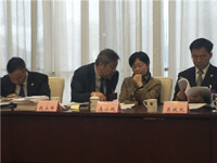 高小玫代表