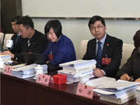陆军代表