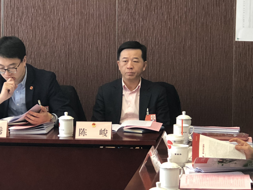 陈峻代表