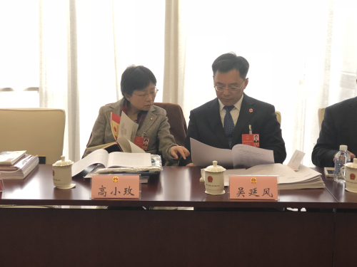 高小玫代表