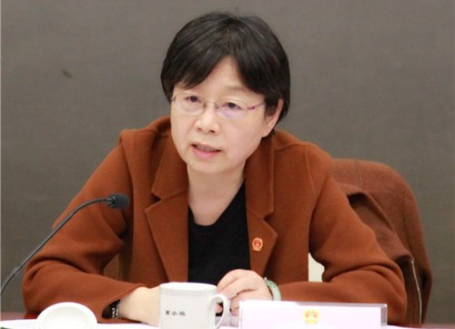 高小玫代表参加虹口代表团会议