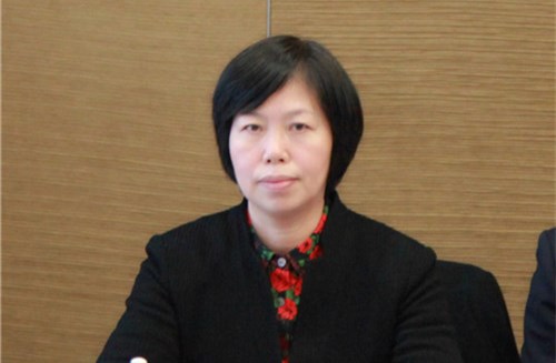 丁美坚代表在分组讨论会场