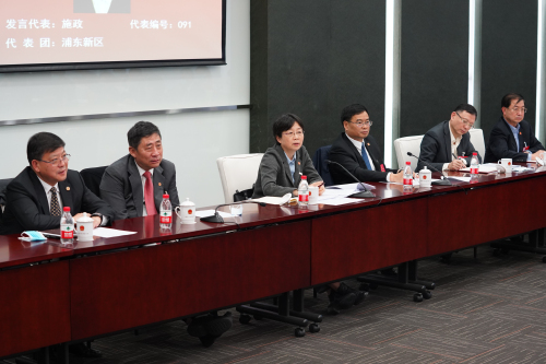 高小玫主持市人代会专题审议会