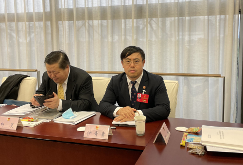 沙青青代表参加市人代会小组讨论