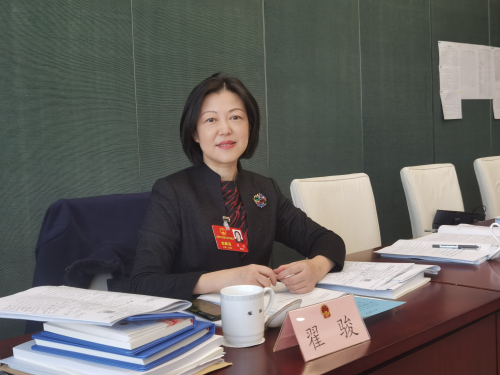 翟骏代表在小组讨论会上