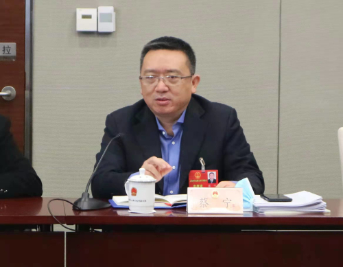 蔡宁代表在小组讨论会上