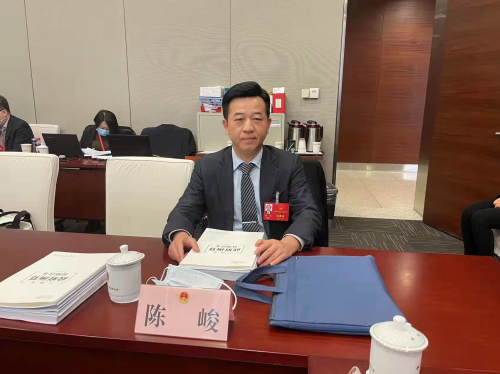 陈峻代表在小组讨论会上