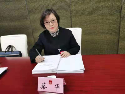 蔡华代表在小组讨论会上