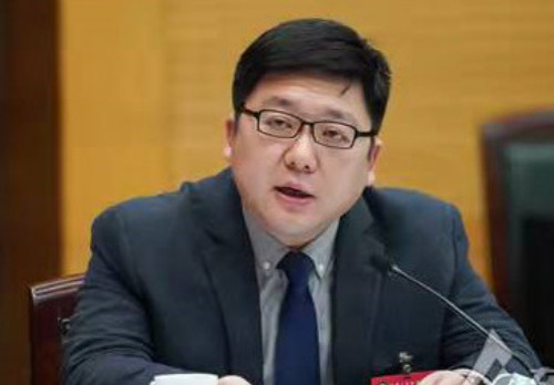 王淳委员在专题会上发言